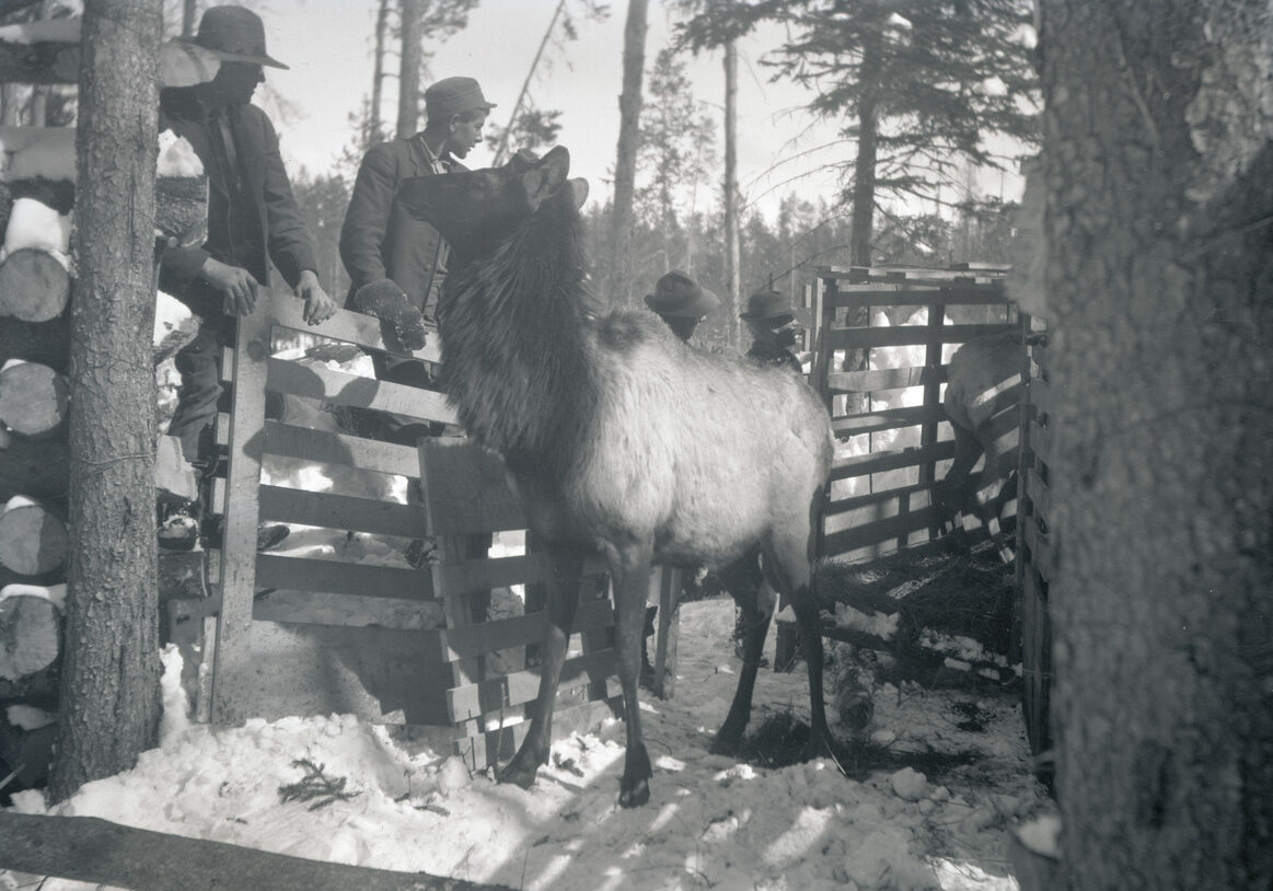 OrgLot369_FinleyB0506